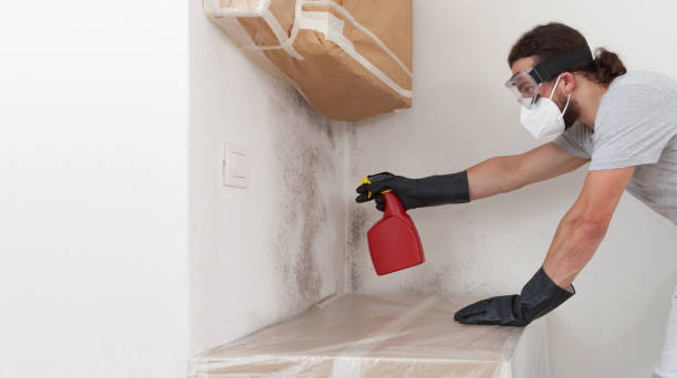 Professional Bathroom Mold Removal technician working in Kingsley, MI