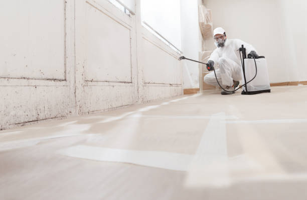 24/7 Emergency Bathroom Mold Removal experts in Kingsley, MI